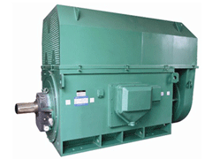 YJTFKK5601-8YKK系列高压电机