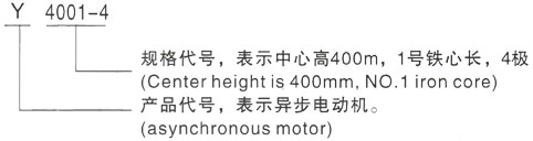 西安泰富西玛Y系列(H355-1000)高压YJTFKK5601-8三相异步电机型号说明